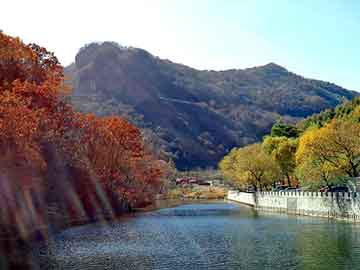 新澳天天开奖资料大全旅游团，菊花香香儿1986照片